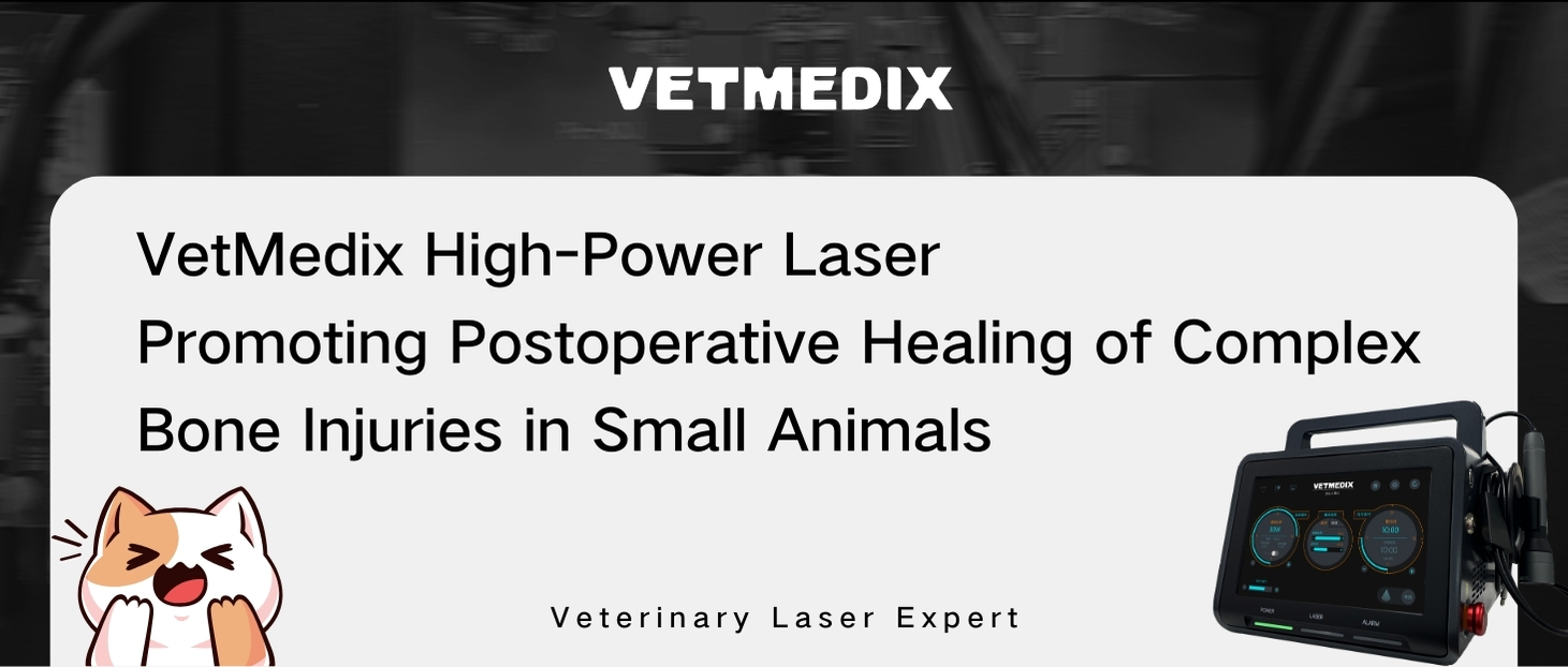 VetMedix Case Sharing丨Tratamentul cu laser de mare putere al fracturii tibiofibulare secundare la animale