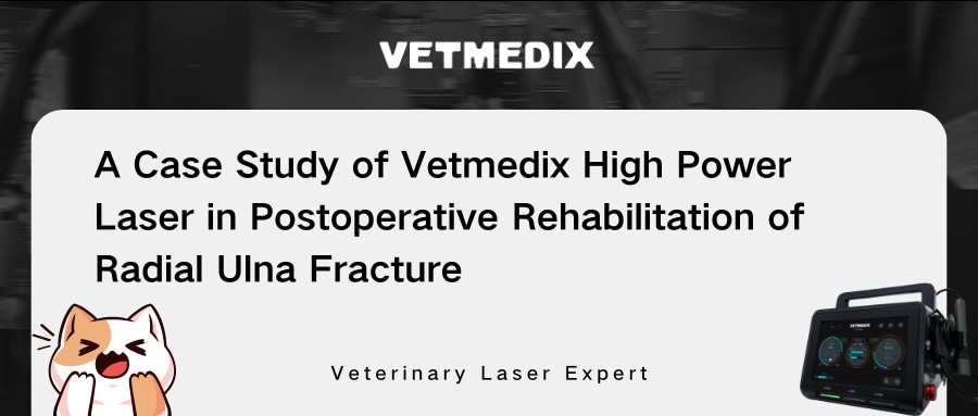 Partajarea cazurilor VetMemex 丨 Terapie cu laser de mare putere în reabilitarea postoperatorie a fracturii ulna radiale
