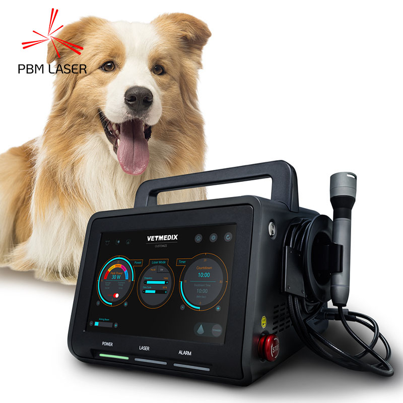 Laser pentru terapia durerii pentru animalele de companie de 30W 450nm 650nm 810nm 808nm 915nm 1064nm